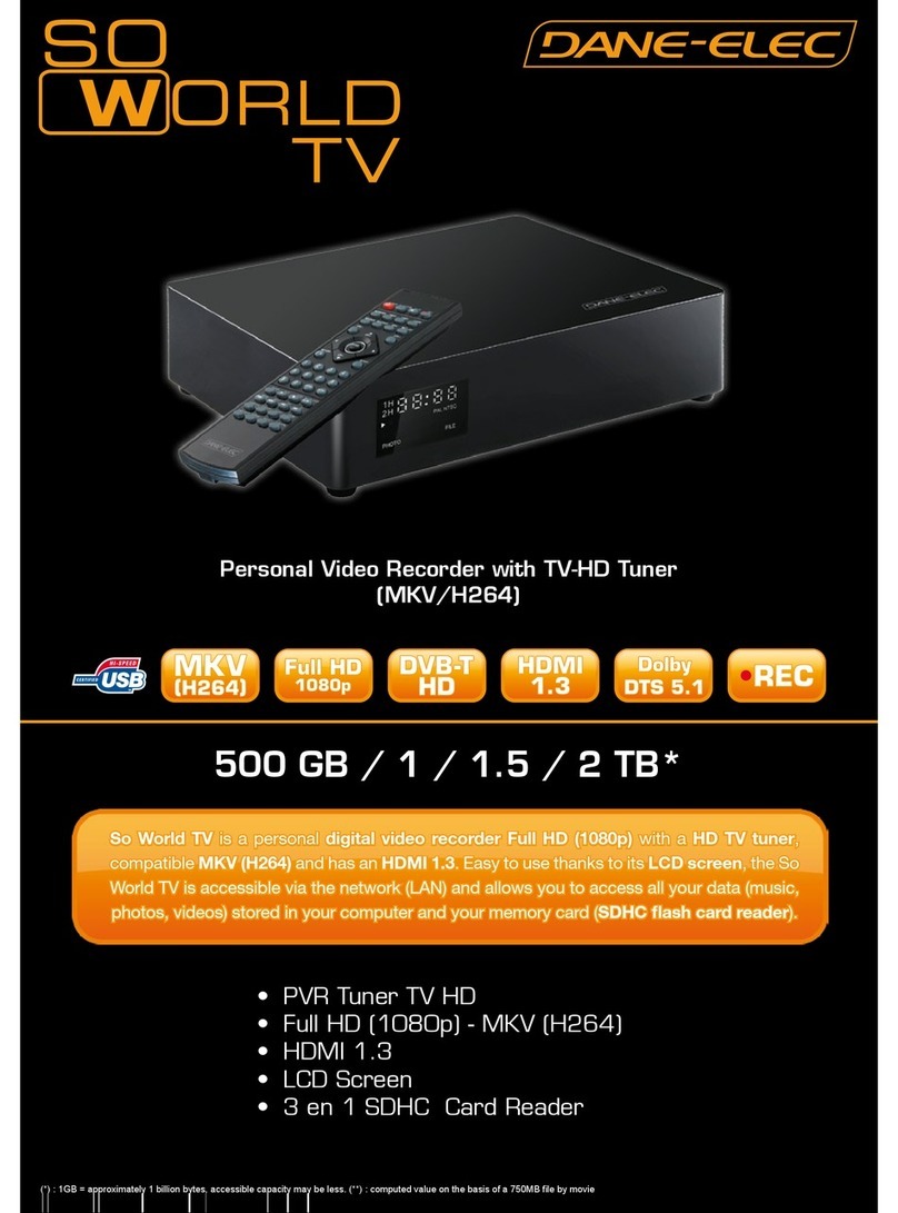 DANE-ELEC SO WORLD TV - User manual