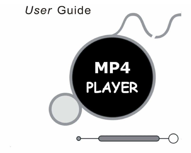 DANE-ELEC MP4 PLAYER manual