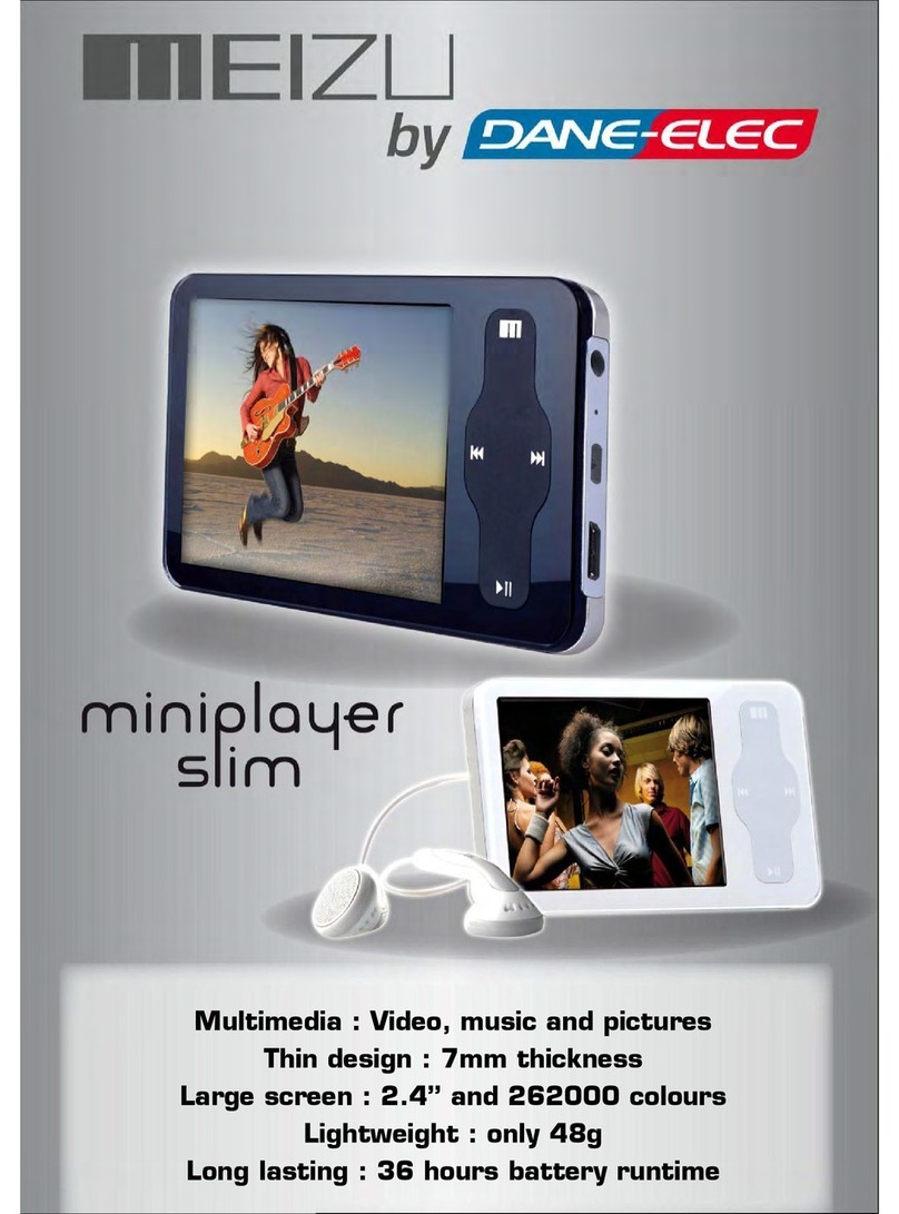 DANE-ELEC MEIZU MINIPLAYER SLIM datasheet