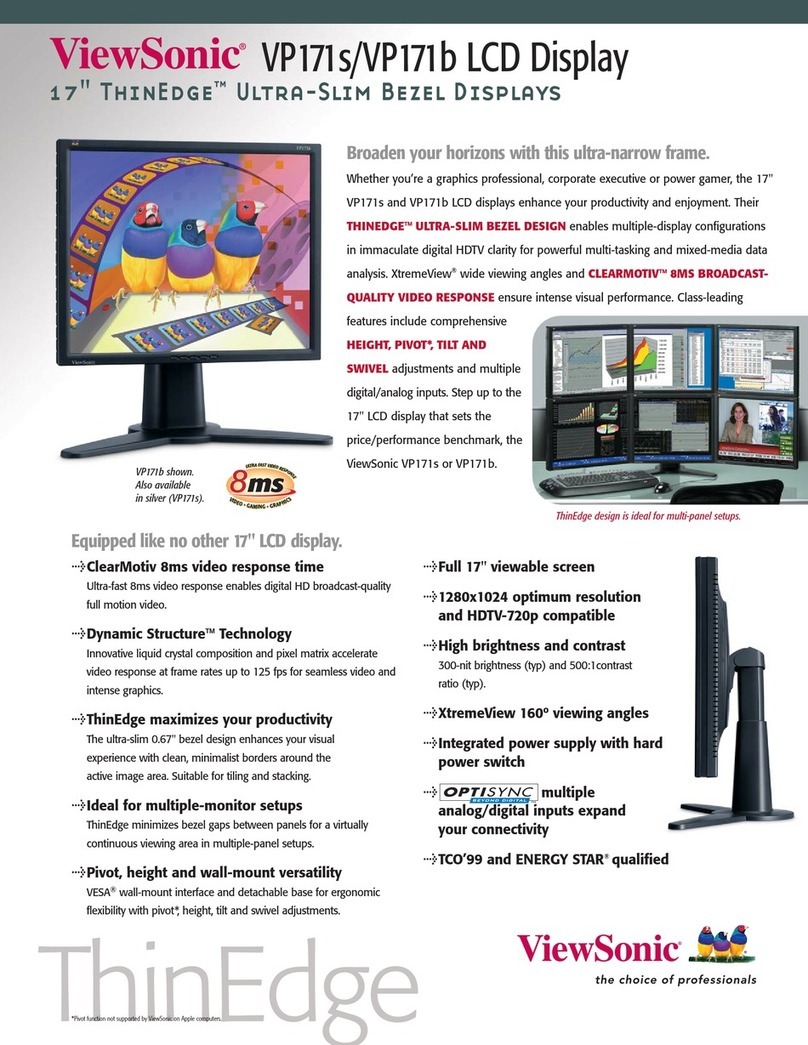 ViewSonic VP171s User manual