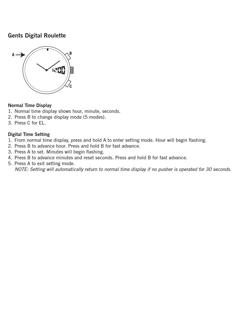 Fossil ANADIGI GENTS DIGITAL ROULETTE User manual