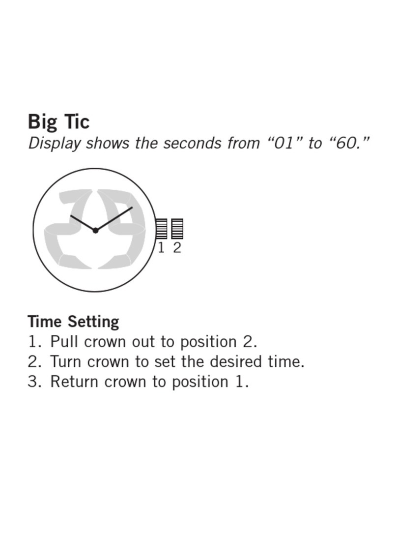 Fossil ANA DIGI BIGTIC manual