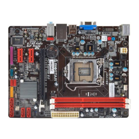 Biostar H61MLB User manual