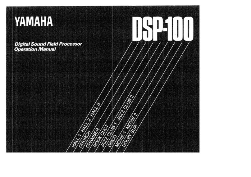 Yamaha DSP-100 Operation manual