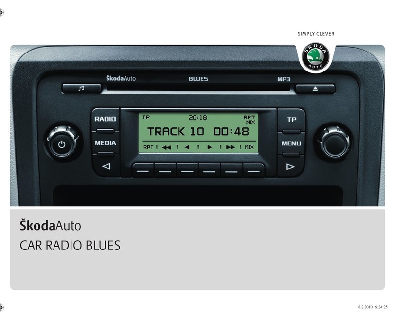 Skoda BLUES ROOMSTER manual