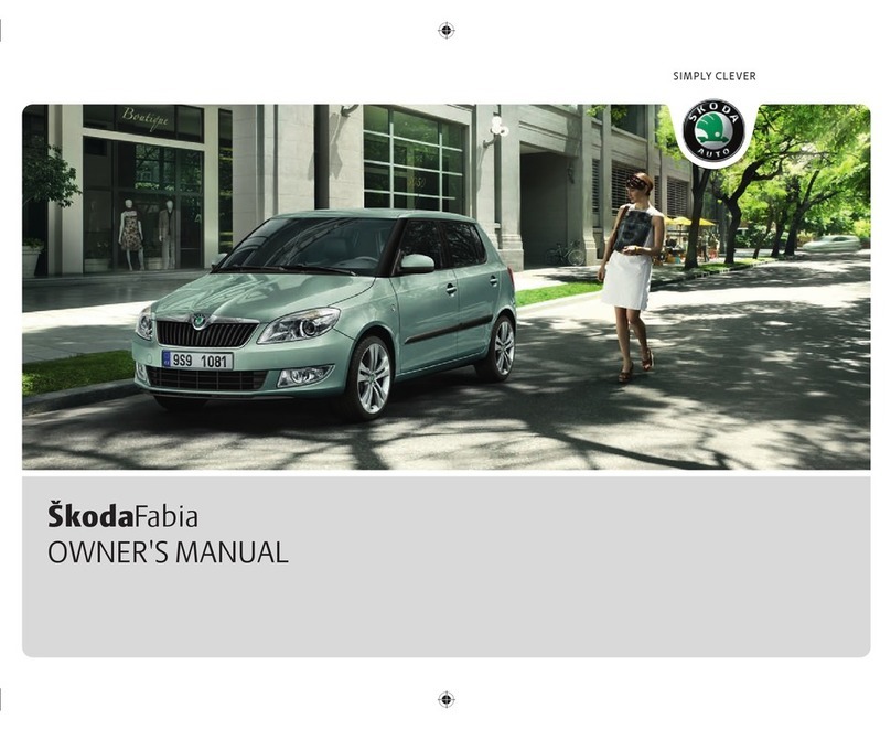 Skoda FABIA - 03-2010 User manual