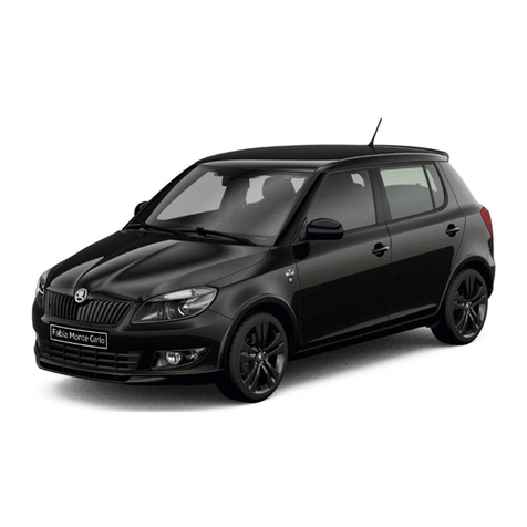 Skoda FABIA MONTE CARLO brochure