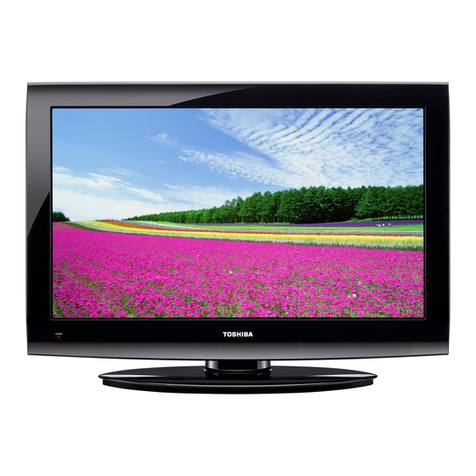 Toshiba 19C100U User manual