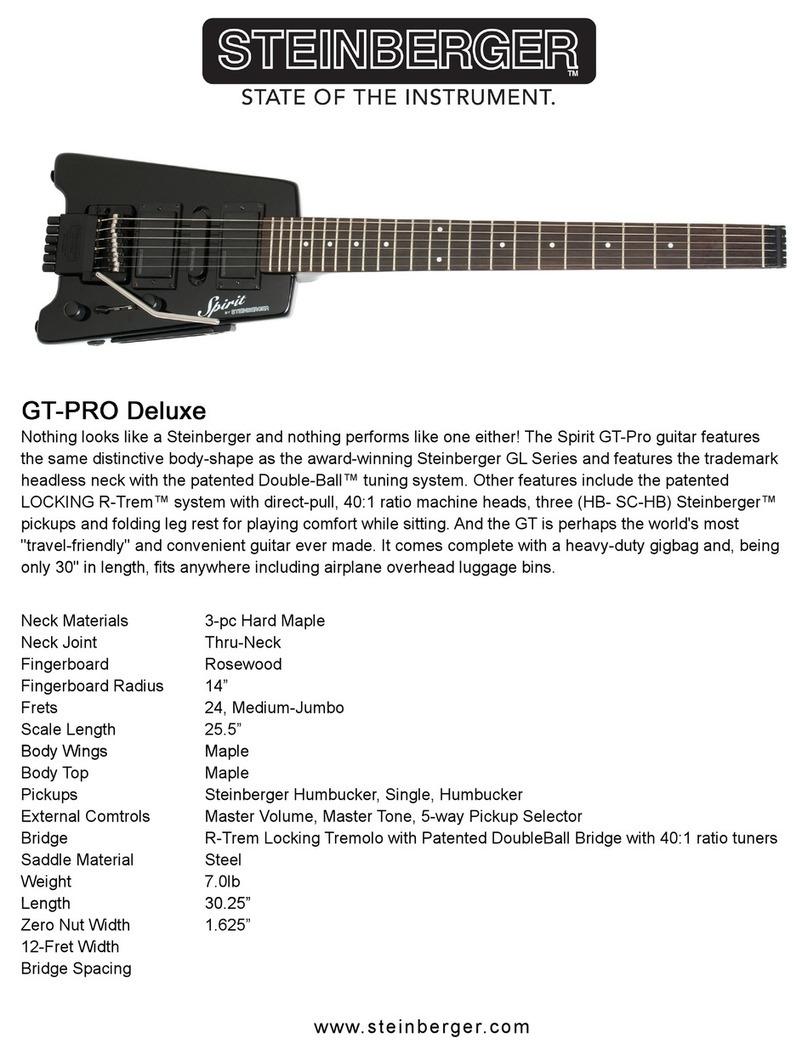 Steinberger Spirit GT-PRO Deluxe Specifications