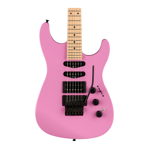 Fender HM AND STANDARD GUITARS manual