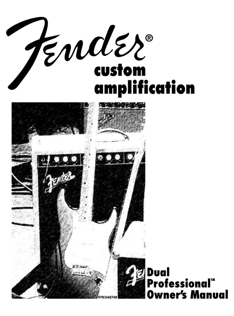 Fender DUAL PROFESSIONAL User manual