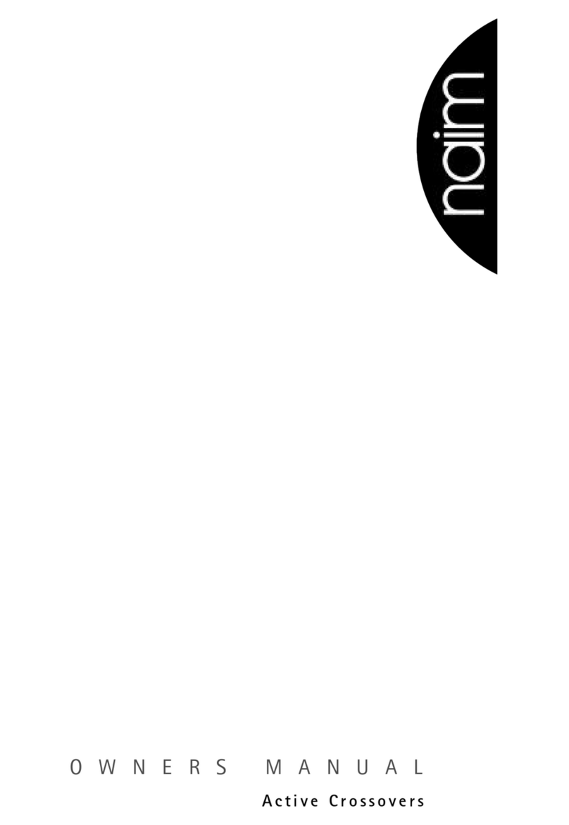 NAIM ACTIVE manual