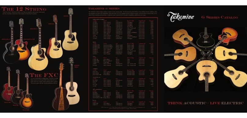 Takamine EG340C brochure