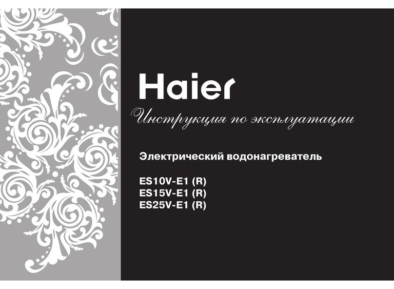 Haier ES10V-E1 