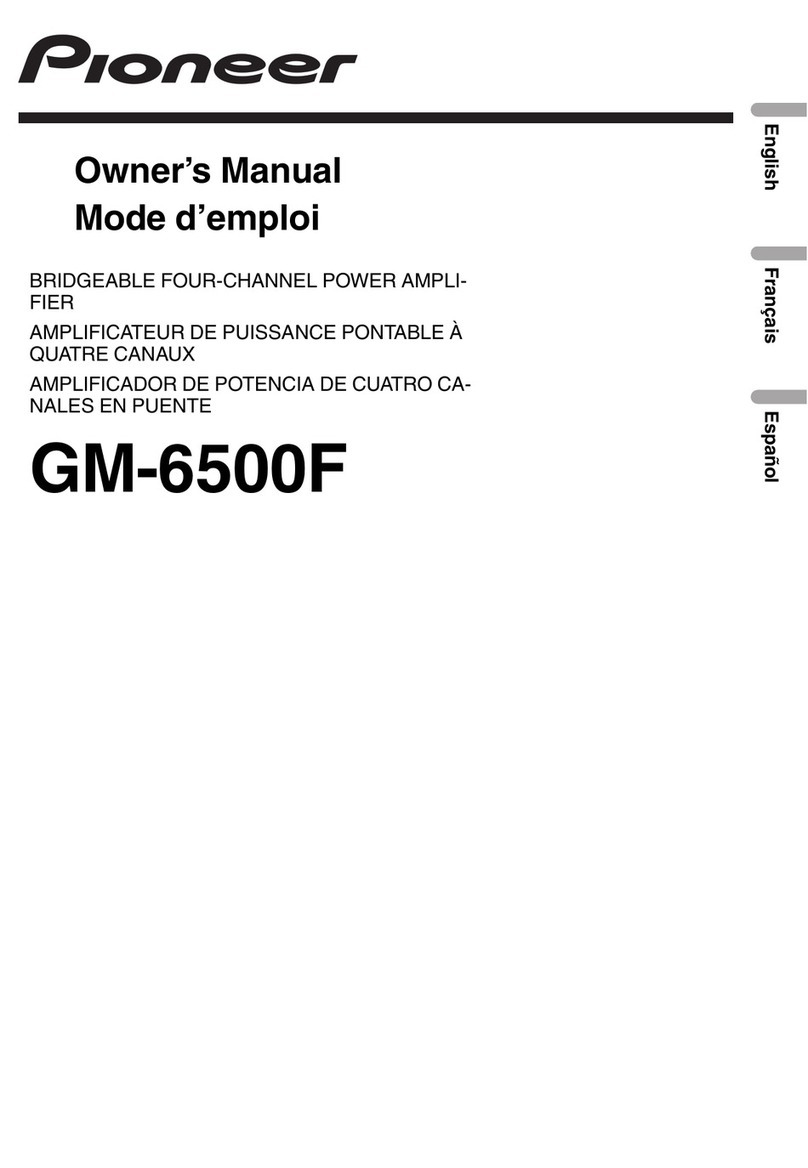 Pioneer GM-6500F User manual