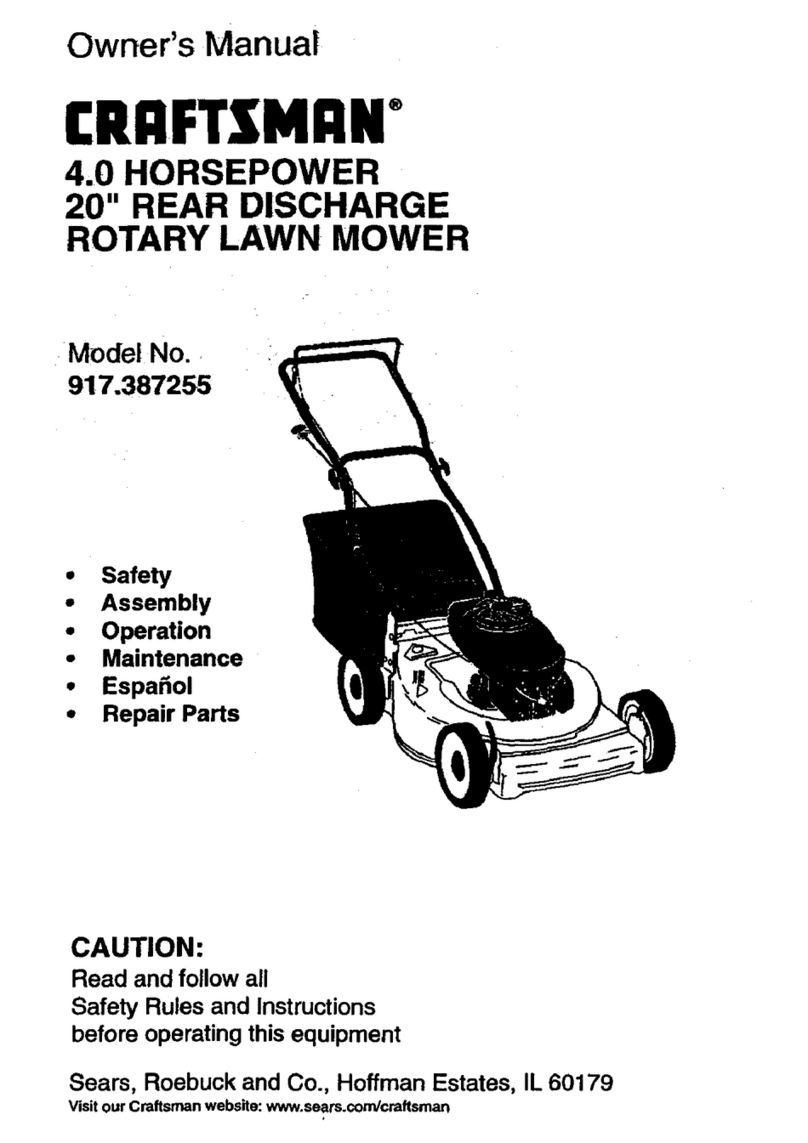Craftsman 917.387255 User manual