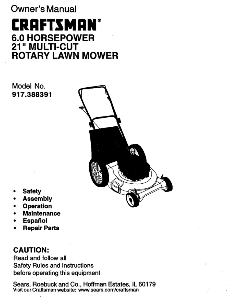Craftsman 917.388391 User manual