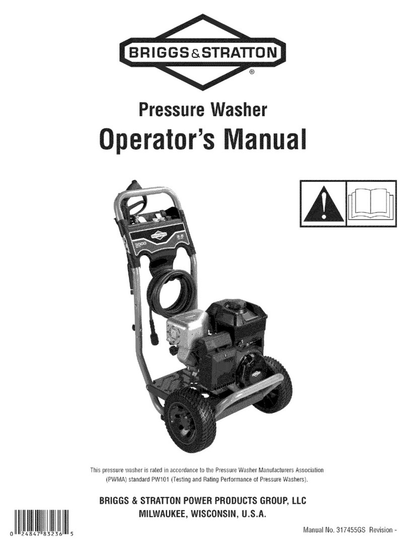 Briggs & Stratton 317455GS User manual Briggs & Stratton 317455GS User manual
