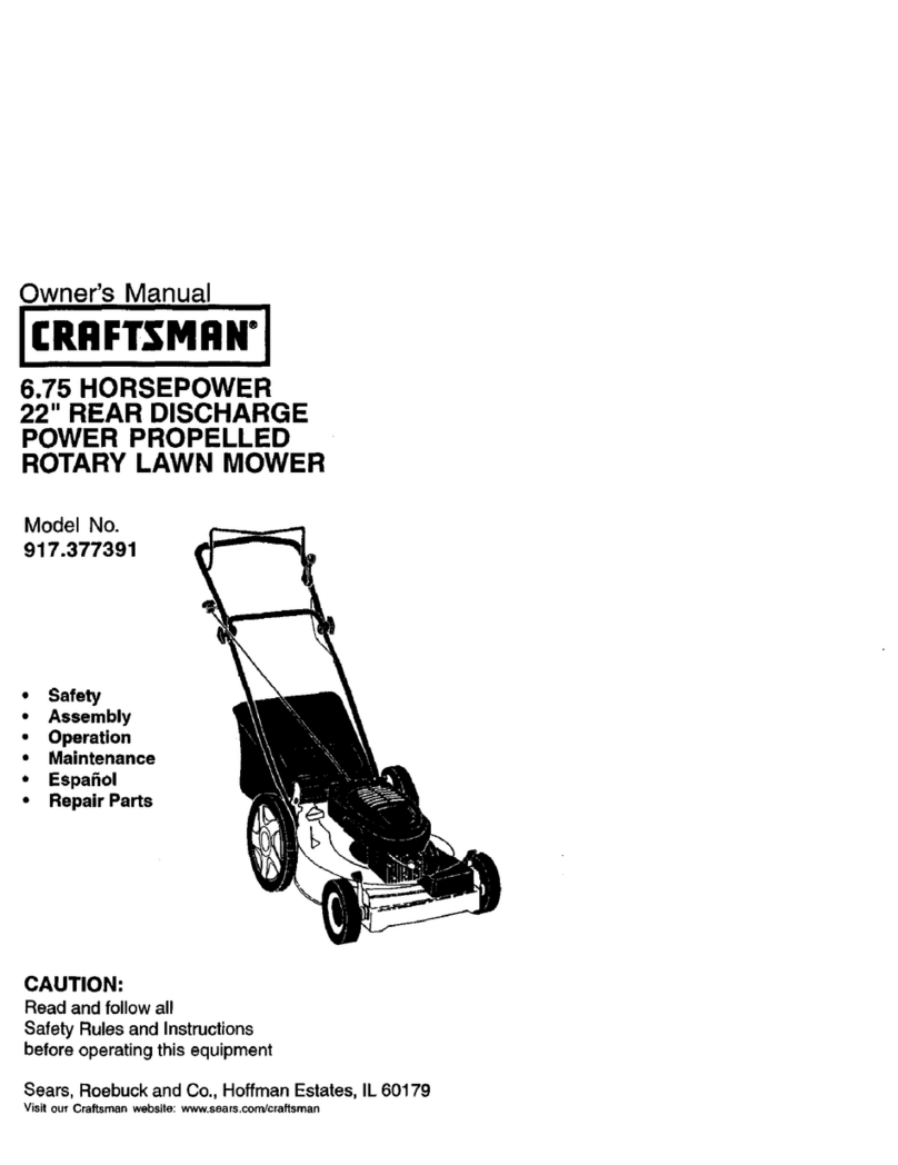 Craftsman 917.377391 User manual
