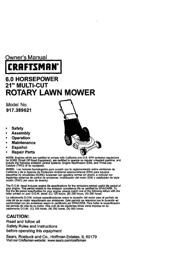 Craftsman 917.389621 User manual