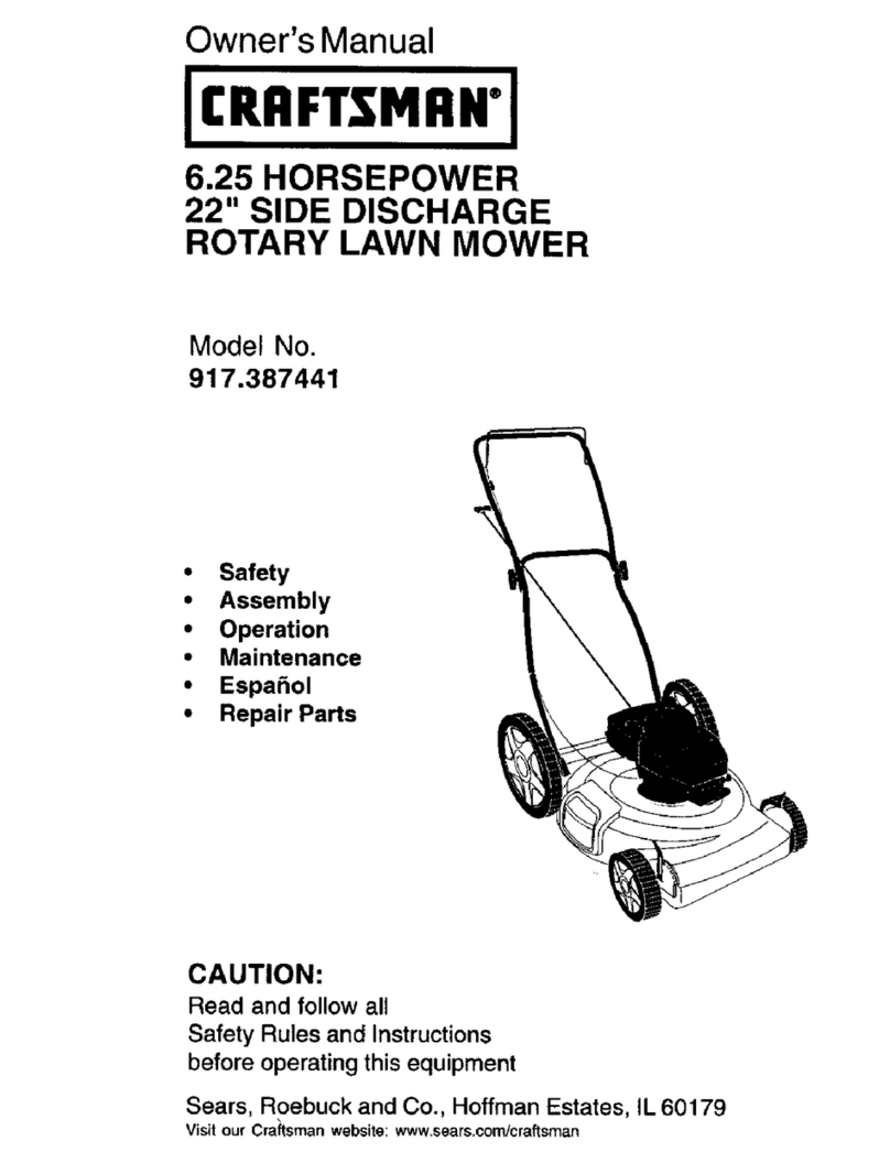 Craftsman 917.387441 User manual