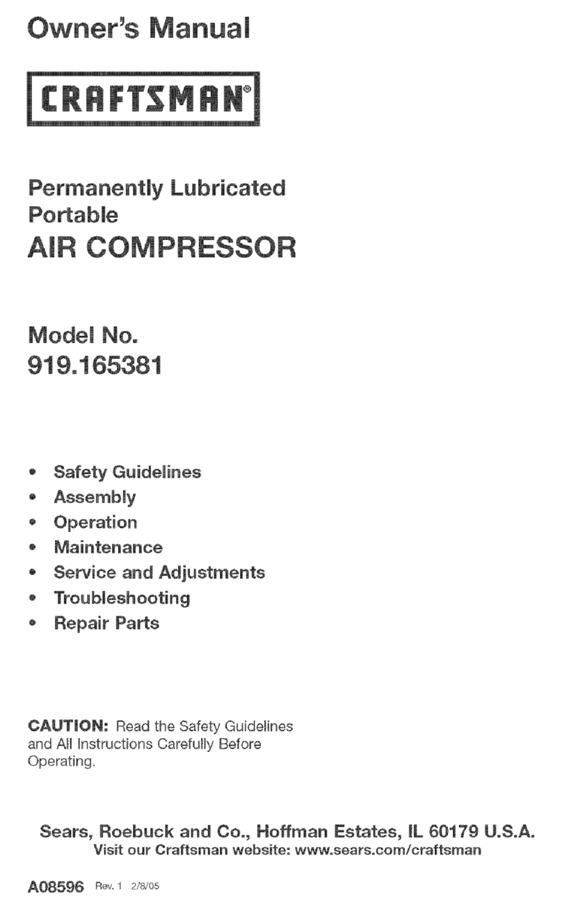 Craftsman 919.165381 User manual Craftsman 919.165381 User manual