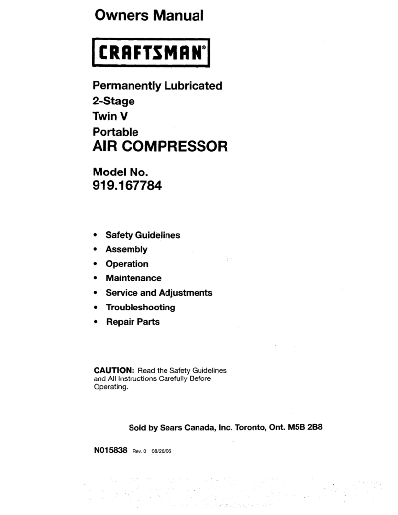 Craftsman 919.167784 User manual