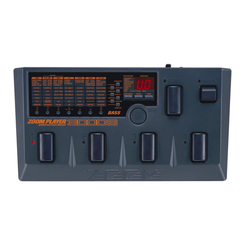 Zoom Player 3000B User manual
