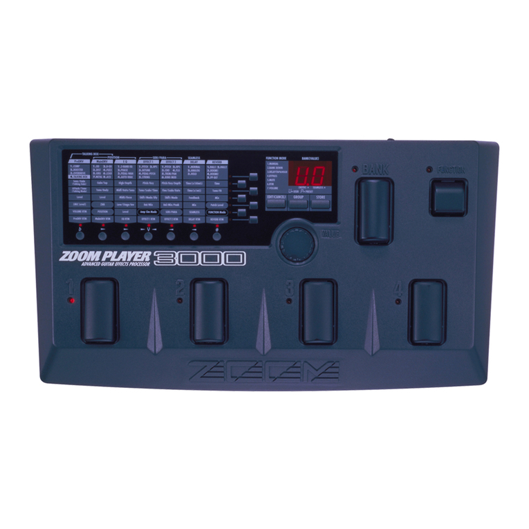 Zoom Zoom player 3000 User manual