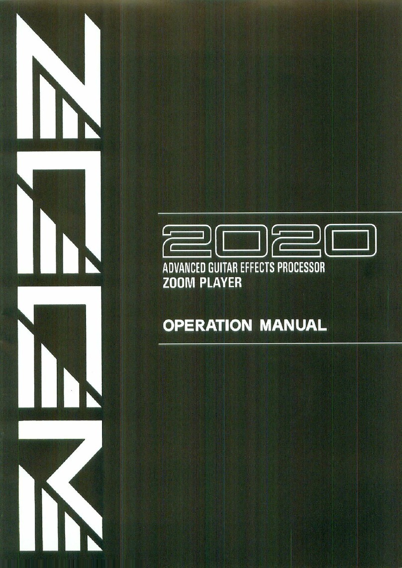 Zoom 2020 User manual
