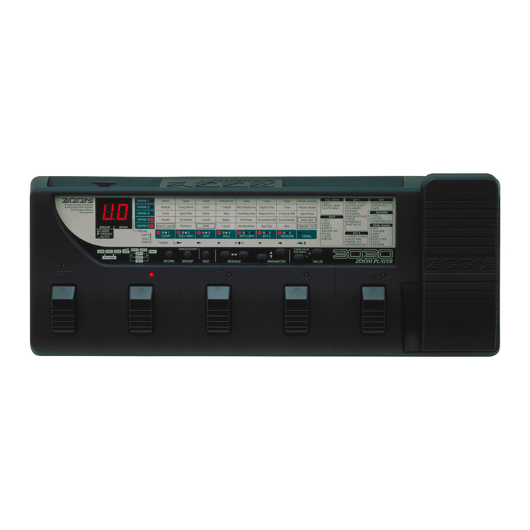 Zoom 3030 zoom player User manual
