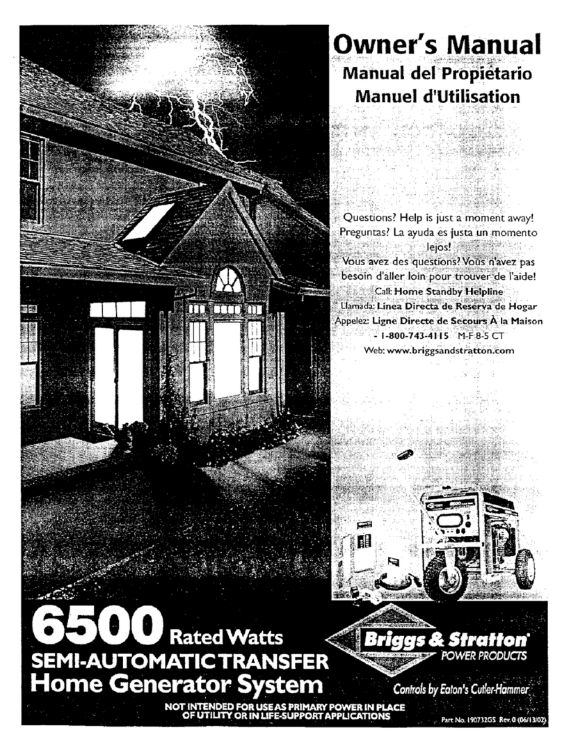 Briggs & Stratton 190732GS User manual