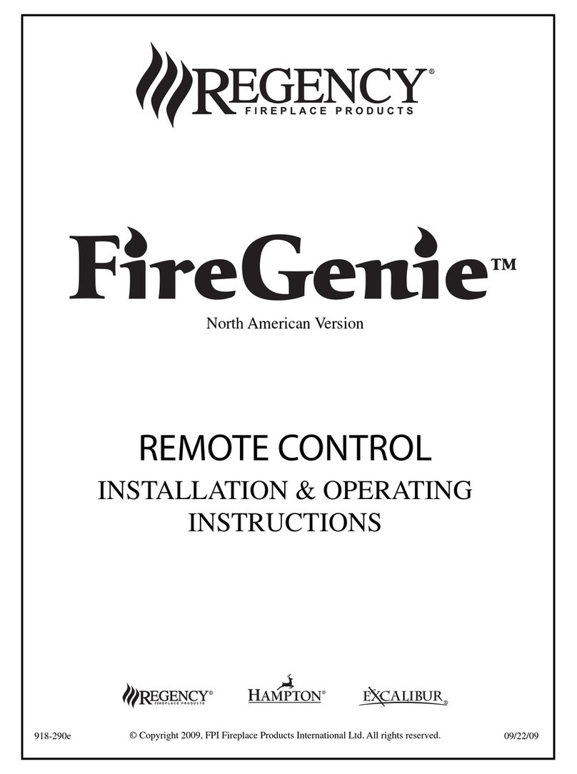 Regency FireGenie Manual