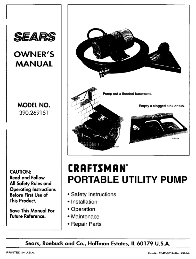 Craftsman 390.269151 User manual