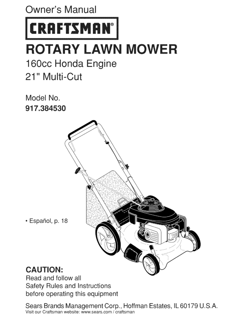 Craftsman 917.384530 User manual