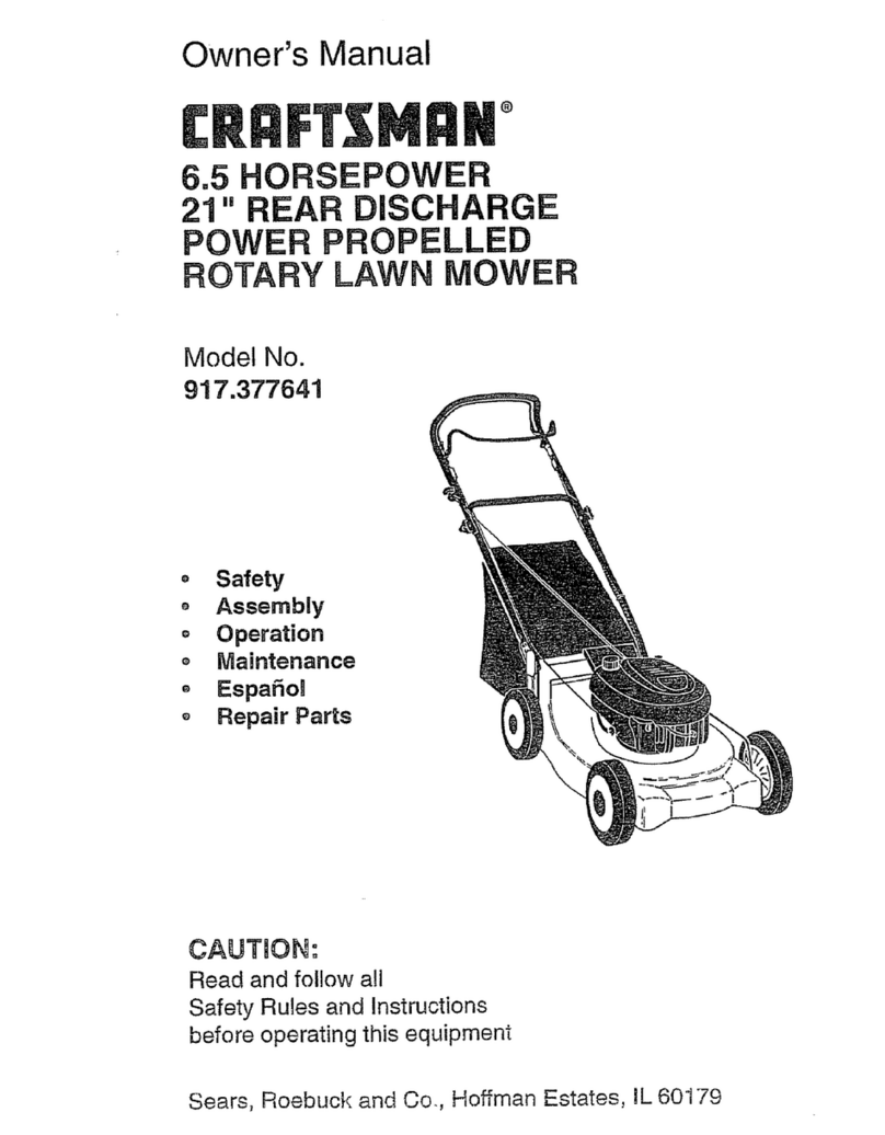 Craftsman 917.377641 User manual