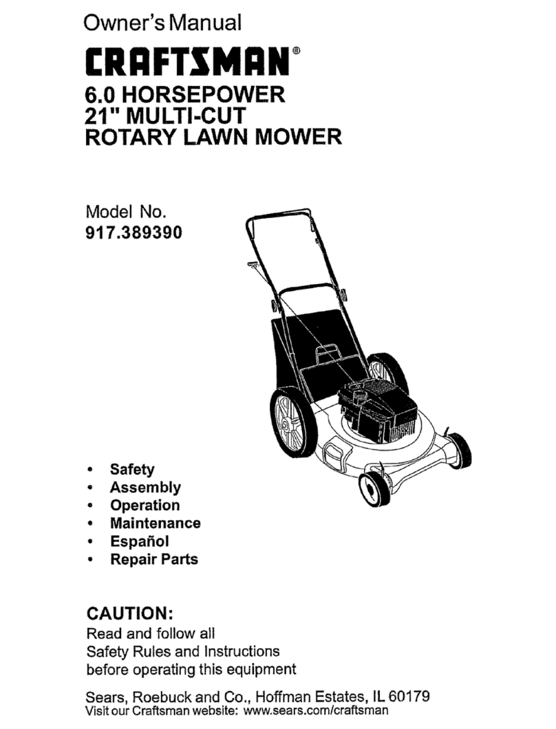 Craftsman 917.389390 User manual
