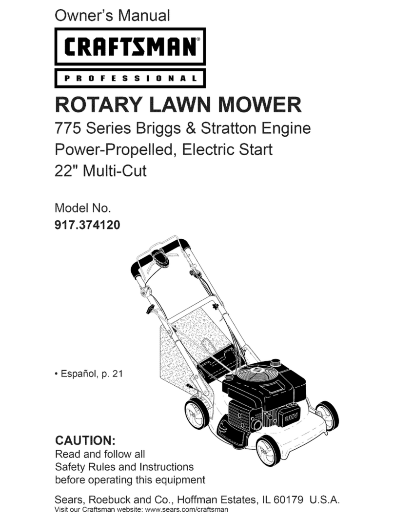 Craftsman Professional 917.374120 User manual