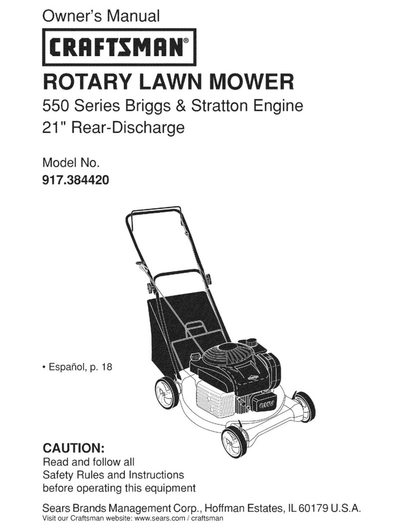 Craftsman 917.384420 User manual
