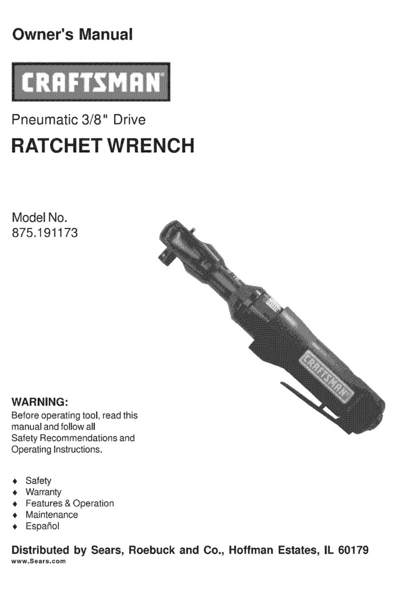 Craftsman 875.191173 User manual