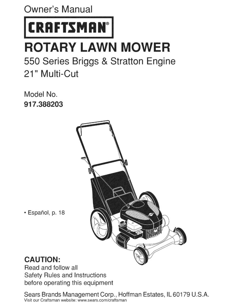 Craftsman 917.388203 User manual