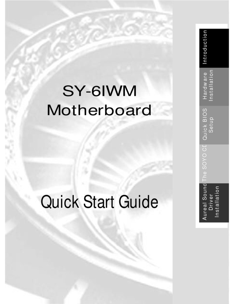 SOYO SY-6IWM User manual