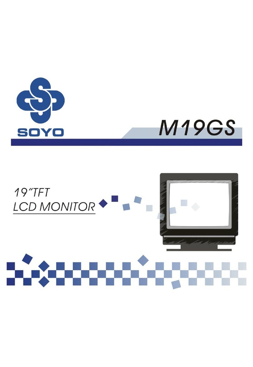 SOYO M19GS User manual