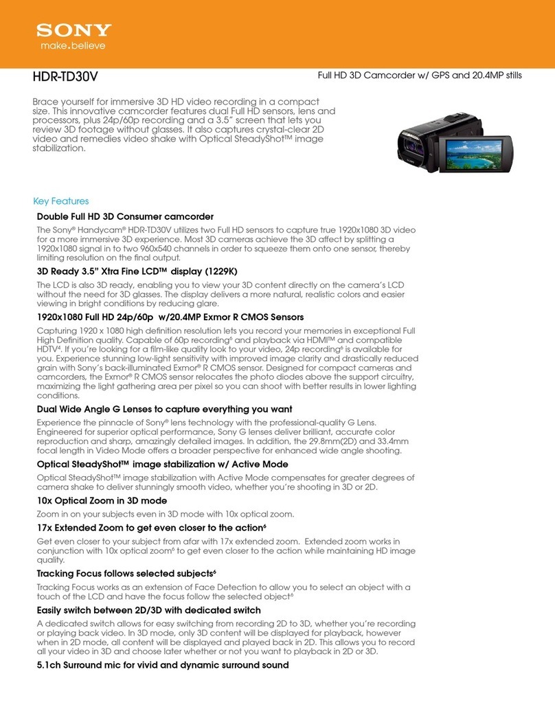 Sony HDR-TD30V User manual