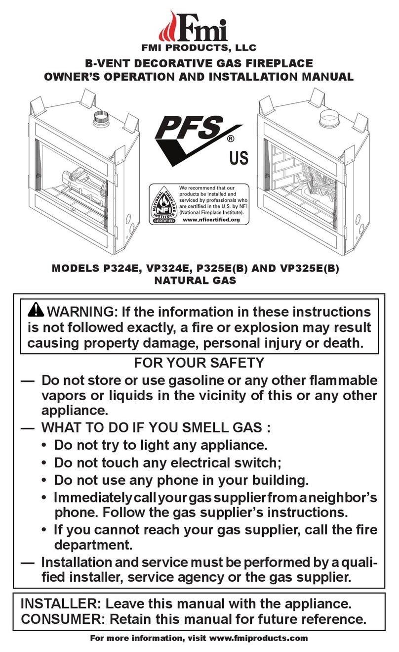 FMI P324E Safety guide FMI P324E Safety guide