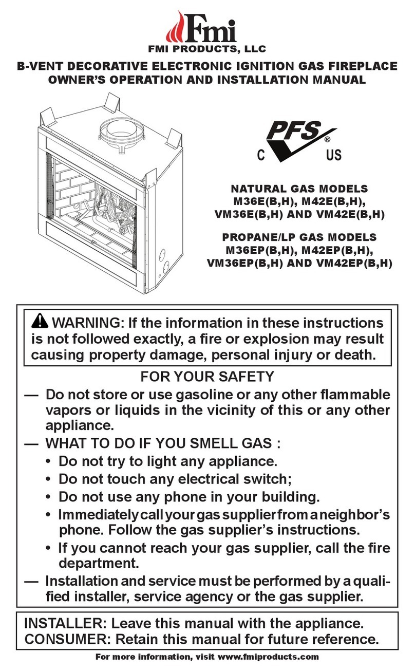 FMI M36E, M36E Safety guide FMI M36E, M36E Safety guide