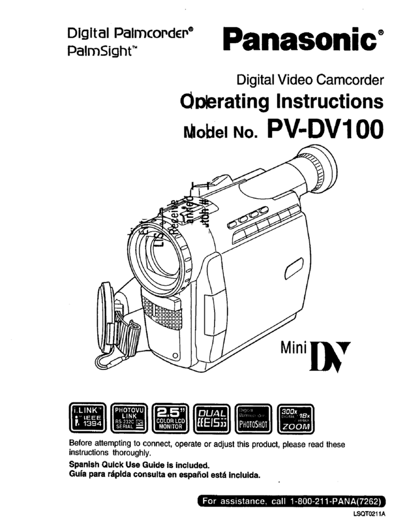 Panasonic Digital Palmcoder PalmSight PV-DV100 User manual