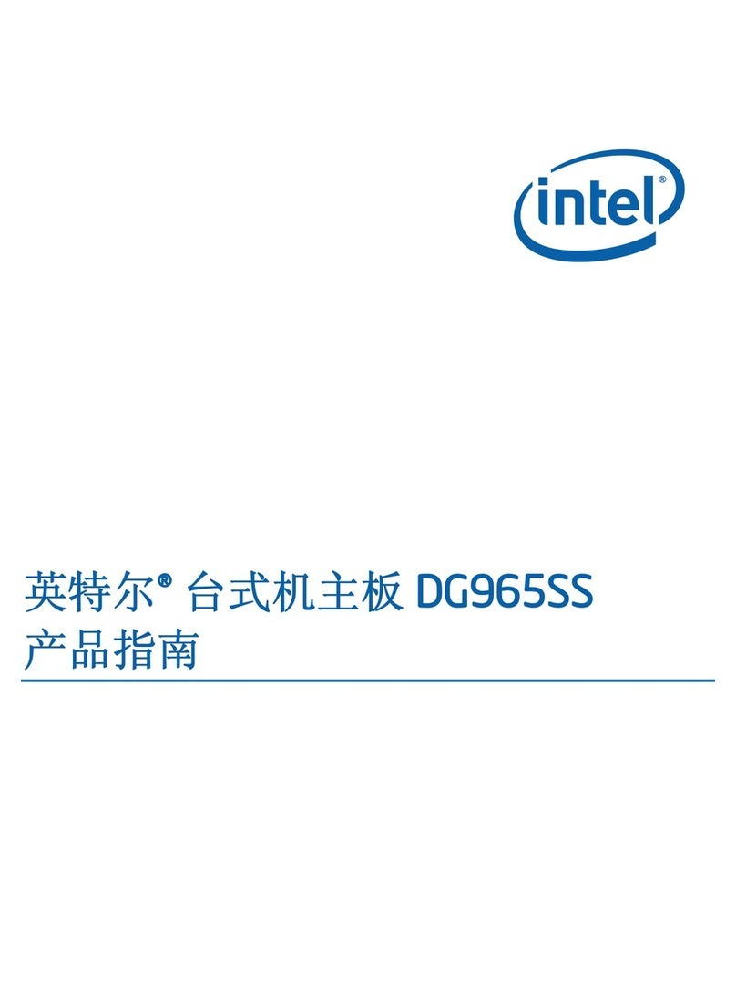 Intel DG965SS User manual