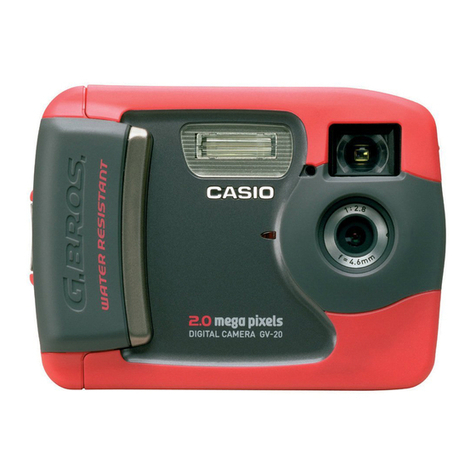 Casio GV-20 user guide