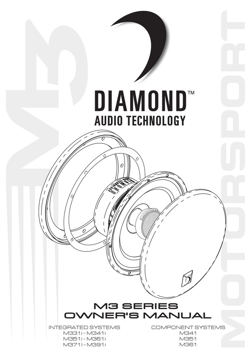 Diamond Audio Technology M331i owner's manual